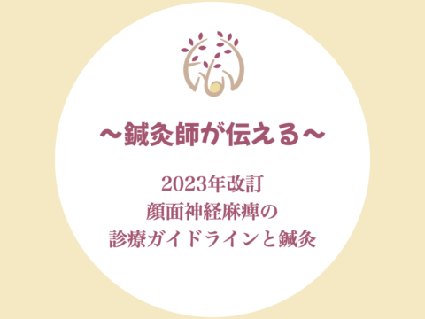顔面神経麻痺の診療ガイドラインで鍼灸はどう変わった?鍼灸師がわかりやすく解説